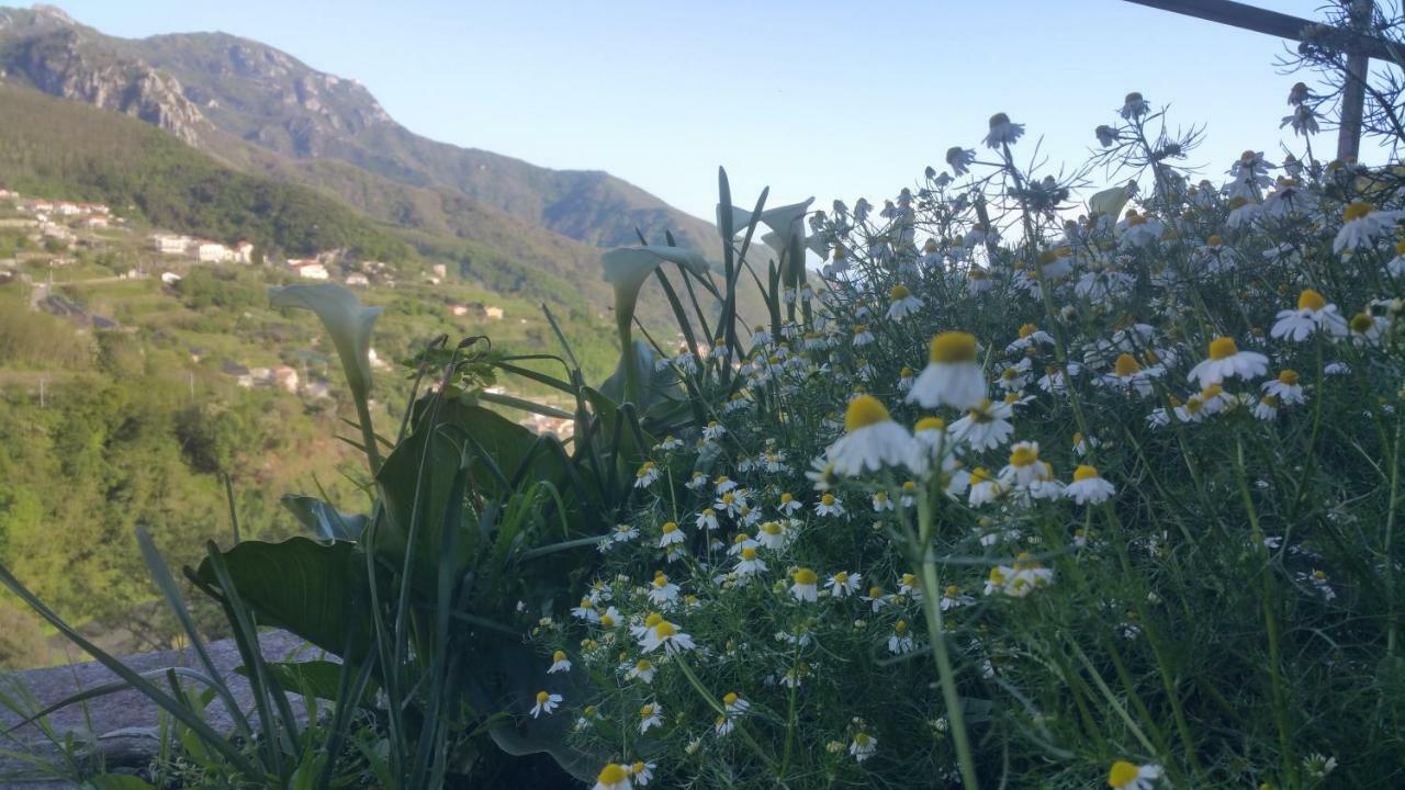 I Tredici Casali Villa Tramonti Bagian luar foto